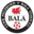 Bala Town Bala Town