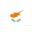 Cyprus Cyprus