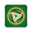 Copa Verde