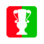 Hungarian Cup