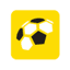Fortuna liga